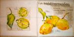 011 Zitronen, Orangen - 3-lagig - Home Fashion